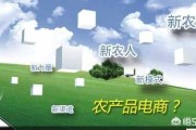 什么是生鲜电商:生鲜电商的出路到底在哪？