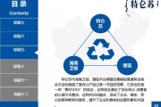 文化营销成功案例(文化营销成功案例分析)