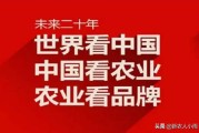 电商搜索方法:今年种了200亩花生，有没有好的办法销售，找电商可以吗？