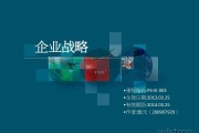 企业营销战略(企业营销战略与企业战略的传统关系)