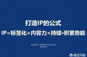 ip 营销
:你觉得IP营销+社交电商是新的商机吗？