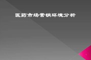 市场营销环境分析案例(市场营销环境分析案例2000字)