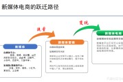 电商什么:新媒体电商是什么？——理解到了，才知道眼前机遇