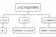 小红书运营公司(小红书运营公司电话)