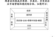 营销环境分析案例(环境营销理论案例分析)