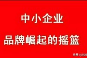 品牌网络营销
:为什么有人说网络营销是中小企业品牌崛起的新机遇？