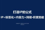 ip营销(ip营销成功案例)