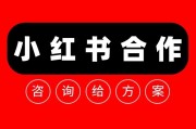 小红书网络营销推广特点(小红书成功的网络营销案例)