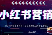 小红书平台推广方案(小红书平台的推广方式)