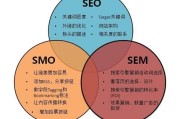 seo网络营销(seo网络营销师)