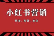 小红书新媒体营销案例分析(小红书成功的内容营销案例分析)