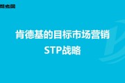 stp营销理论(stp营销理论分析案例)