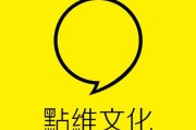 文化营销(文化营销名词解释)