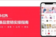 小红书成功营销案例(小红书成功营销案例及分析)