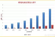 意大利跨境电商:跨境电商目前哪家强？