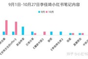 小红书双十一营销策略(小红书双十一营销策略研究)