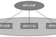 差异化营销策略(宝洁差异化营销策略)