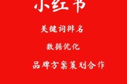 小红书推广服务(小红书官方推广平台)