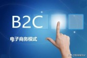 什么是b2c电子商务:在电子商务中，C2C .B2B .B2C模式分别指的是什么？