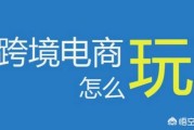 境外电商都有哪些?:跨境电商平台都有哪些比较适合创业的？