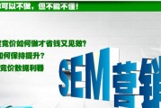 sem营销推广
:做SEM推广不得不知的要点概述有哪些？