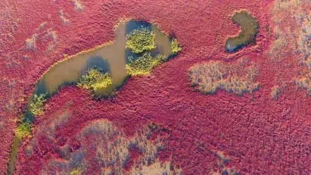 请问写一个旅游目的地市场营销的论文内容除了食住行游购娱方面还可以写些什么？