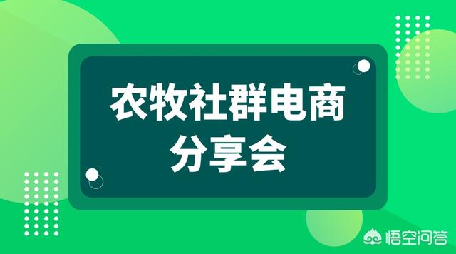 养鸡户如何通过网络来销售土鸡？