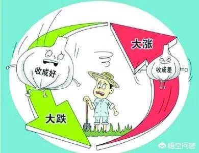 化肥销售淡季不淡旺季不旺，厂家和经销商应当如何破局？