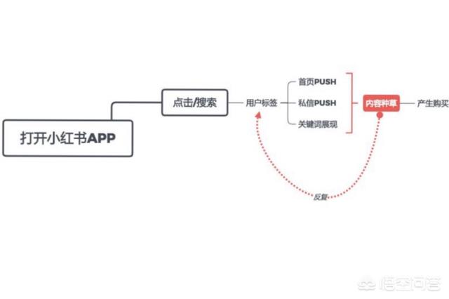 小红书推广有用吗，小红书推广的优势在哪里？