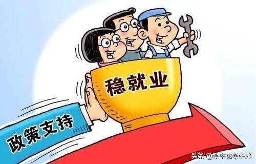  学生最关心就业率，大学如何改变营销策略？