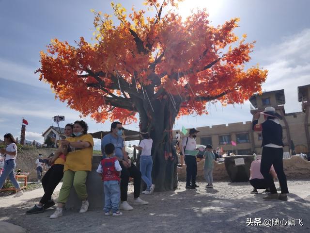 做旅游自媒体，发什么样的内容（包括视频和文章）最受欢迎？