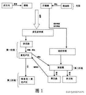 “媒介环境学说”是什么？