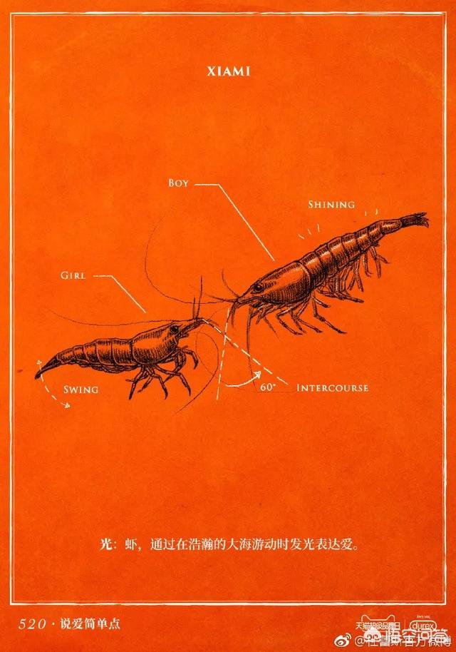 你见过最有创意的广告文案是怎么样的？