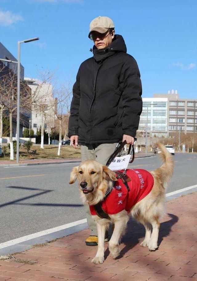 如何看待把导盲犬带入到公共场合的行为？