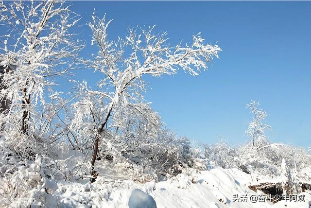 下雪时，有什么适合发朋友圈的文案？