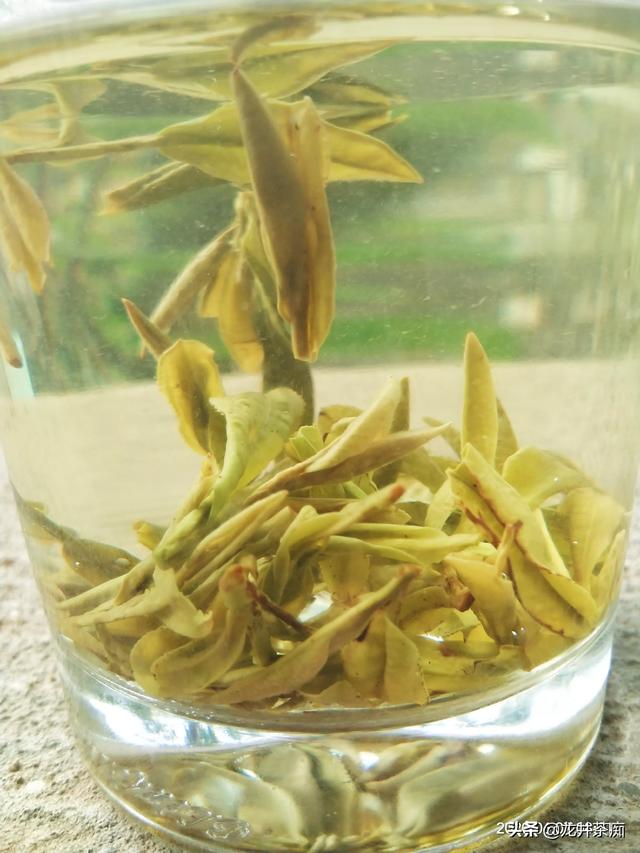 新的茶叶品牌如何推广？