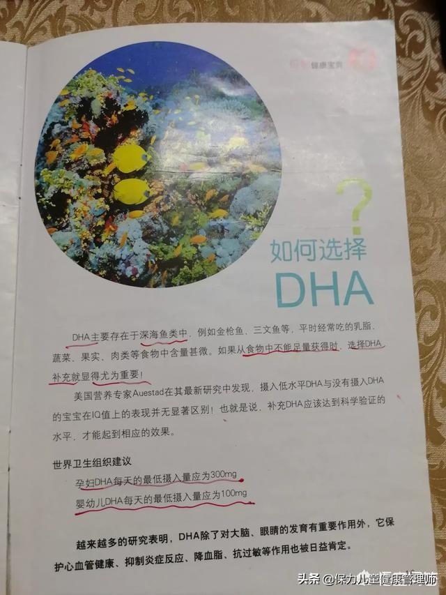 孕妇为什么需要补充DHA？