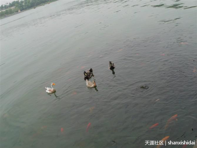 那年那月拍的风景,大家猜猜这是哪啊,随便发几张,致我死去的青春