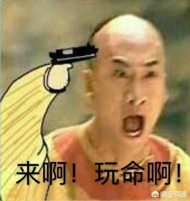 有什么搞笑且不烂大街的表情包可以分享？