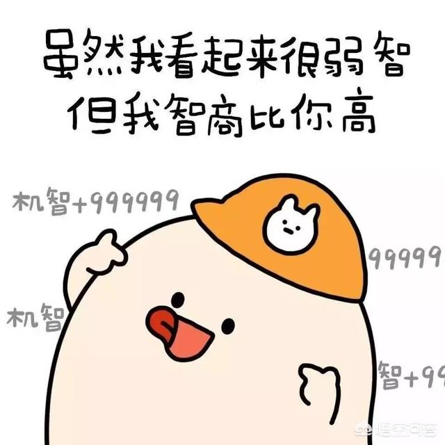 有什么搞笑且不烂大街的表情包可以分享？