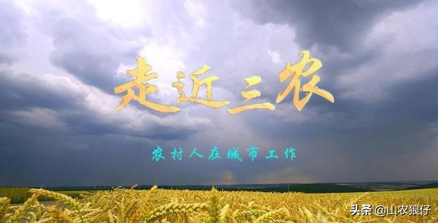 电商与农业经济会擦出怎样的火花？