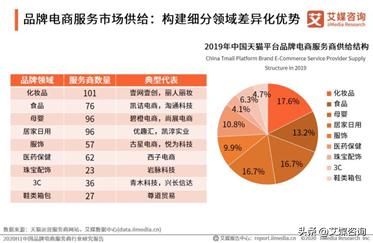 中国品牌电商服务商行业发展现状如何？