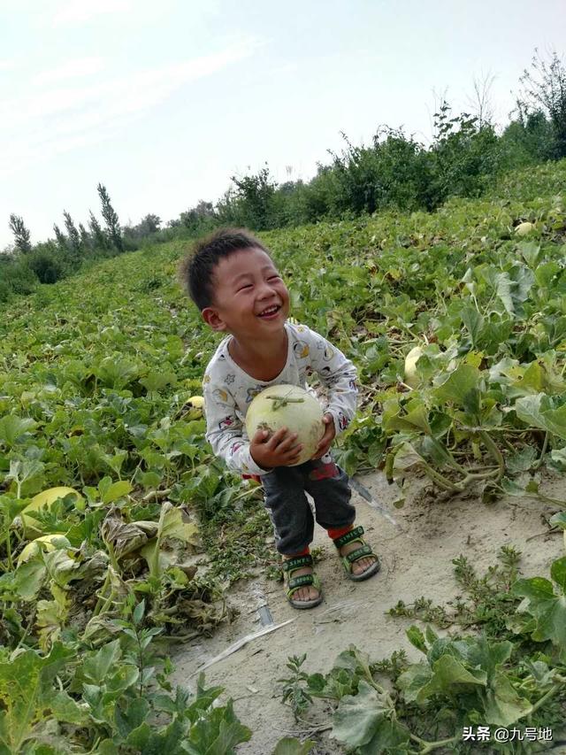 有水果怎么跟电商或平台合作销售?有哪些渠道或方法？