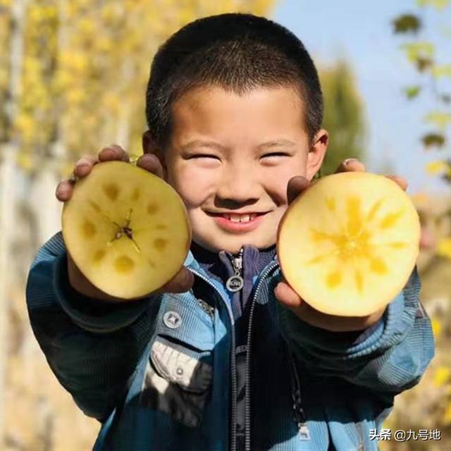 有水果怎么跟电商或平台合作销售?有哪些渠道或方法？