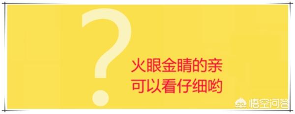 重庆天琥教育电商设计培训机构靠谱吗？