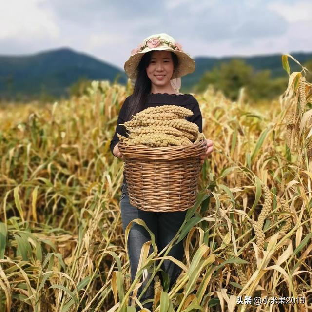 农村电商起步早的公司都有什么？