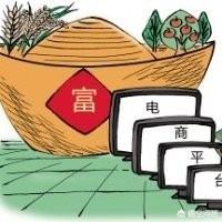 目前很多地区都在发展农村电商，你觉得是好事还是坏事？