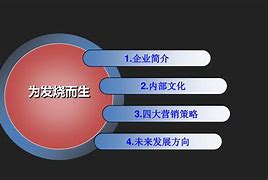 小米营销策略(小米营销策略PPT)