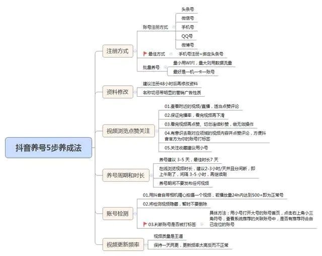 抖音短视频运营方案(抖音短视频运营方案案例)