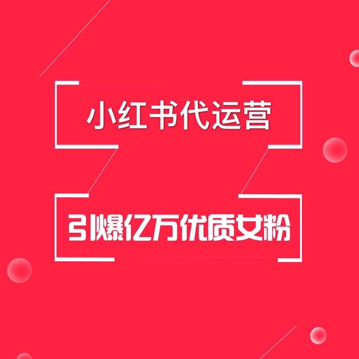 小红书营销特点(小红书的营销策略分析论文)